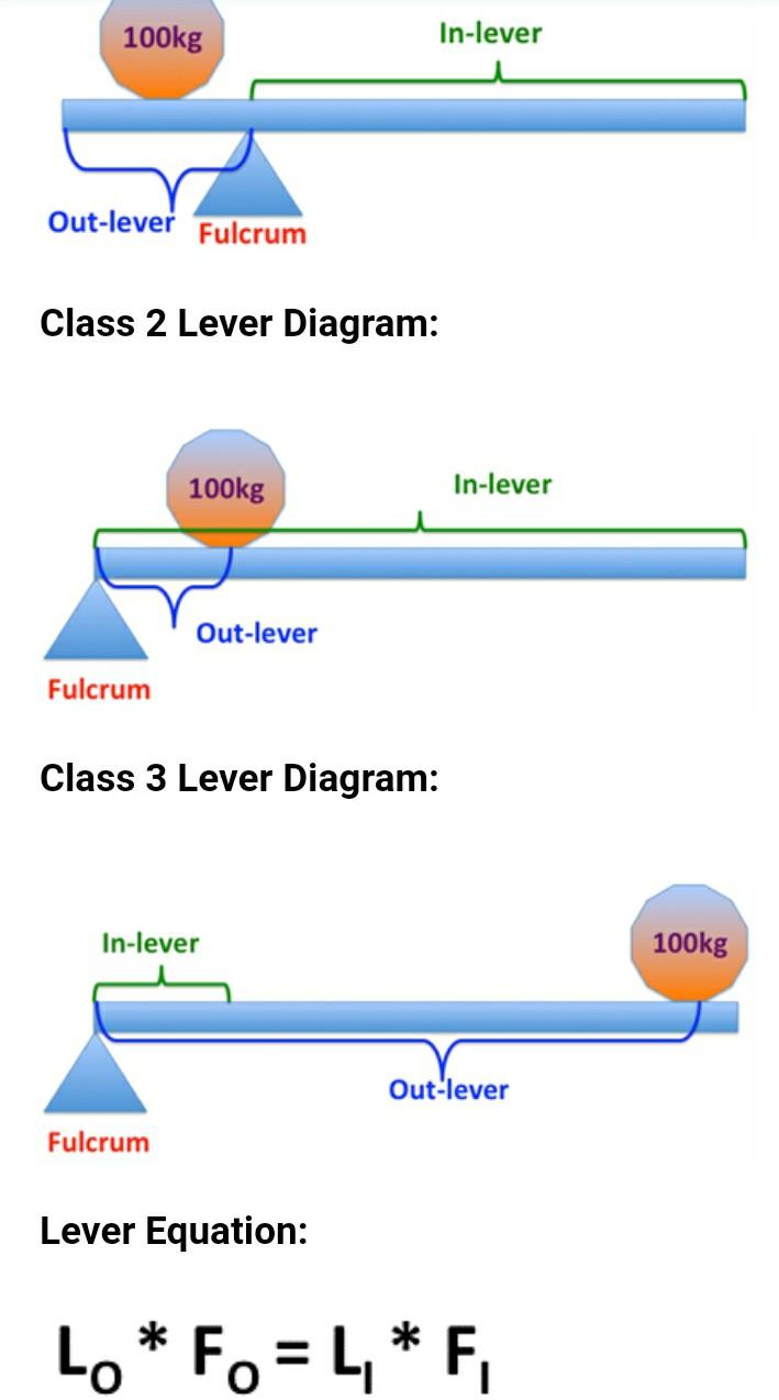 Solved In this tutorial, you first model three different | Chegg.com