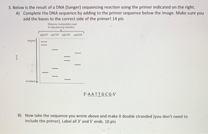 Solved 3. Below is the result of a DNA (Sanger) sequencing | Chegg.com