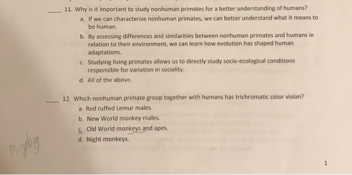 Solved 11 Why Is It Important To Study Nonhuman Primates Chegg Com