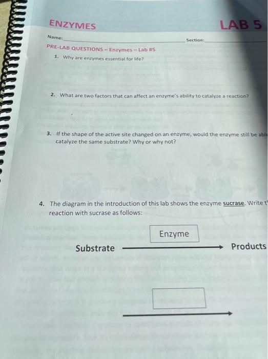 Solved Part 2Osmosis in Plant Cells 6. Was the Elodea leaf