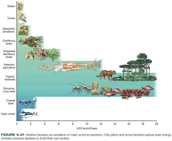 Which world ecosystems are most productive in terms of ... | Chegg.com