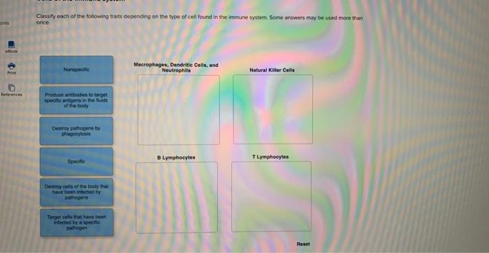 Classify each of the following traits depending on the type of cell found in the immune system. Some answers my be used more 