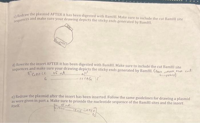 GENE CLONING QUESTIONS AND ANSWERS visual data 3