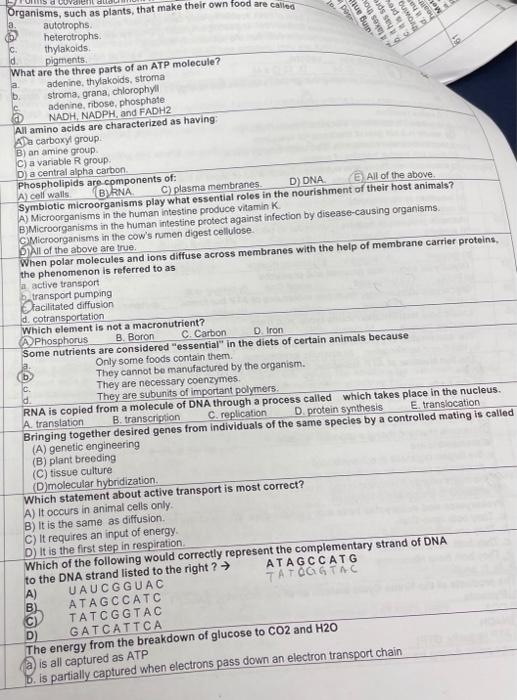 Solved Organisms, such as plants, that make their own food