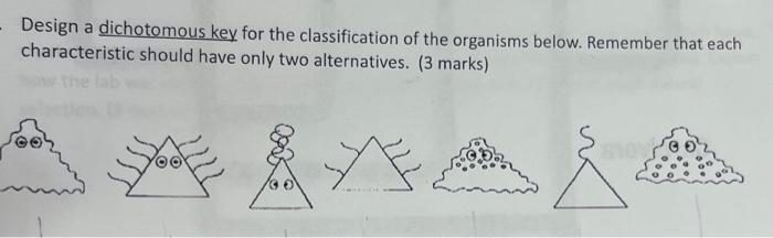 Solved Design a dichotomous key for the classification of | Chegg.com