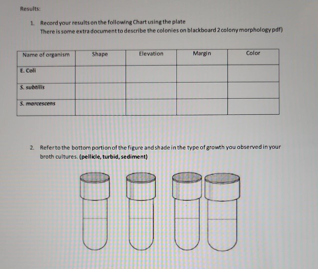 Solved Can you please answer these questions (1 & 2) | Chegg.com