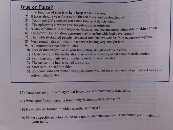 Solved True Or False 1 One Function Of Skin Is To Help Chegg