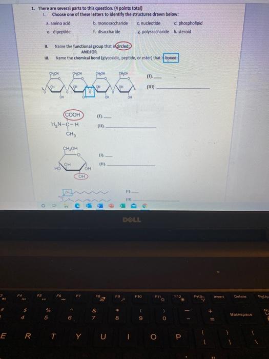 Solved Instructions: Determine the positive and negative | Chegg.com