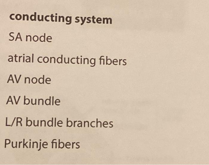 label the components of the conducting system of the heart