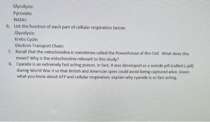 Glycolysis: Pyruvate: NADH: 6. List the function of each part of cellular respiration below: Glycolysis: Krebs Cycle: Electro