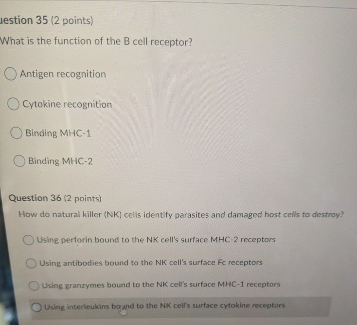 Solved uestion 35 (2 points) "What is the function of the B | Chegg.com