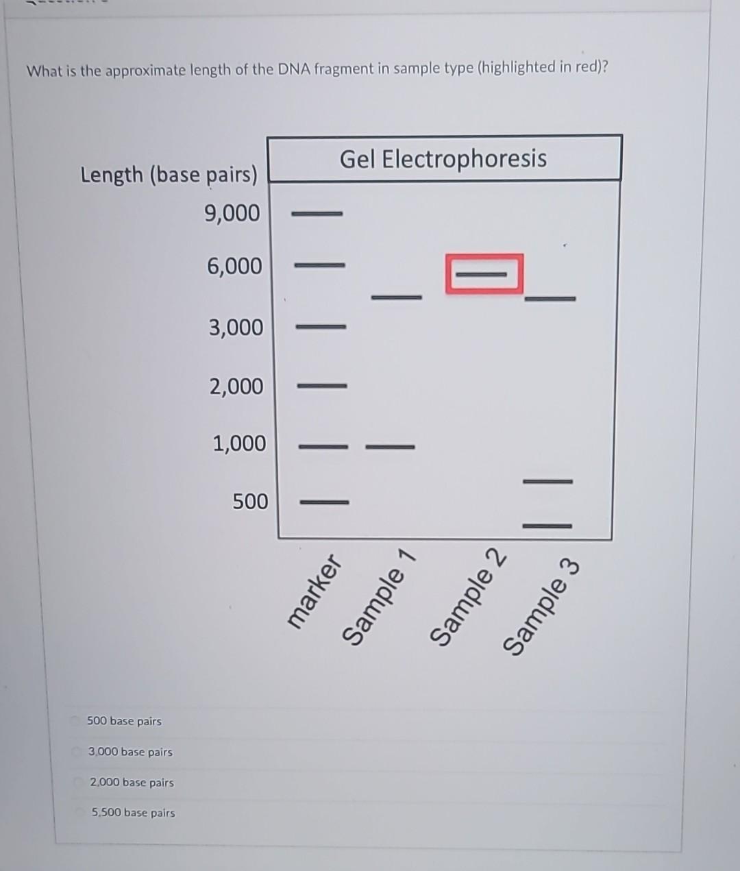 solved-what-is-the-approximate-length-of-the-dna-fragment-in-chegg