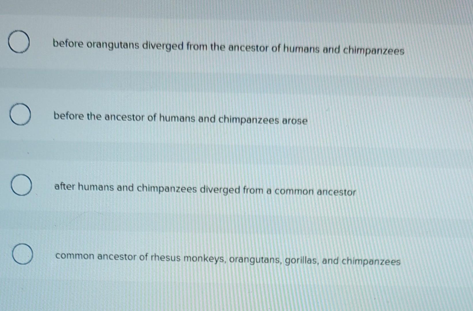 before orangutans diverged from the ancestor of humans and chimpanzees
before the ancestor of humans and chimpanzees arose
af