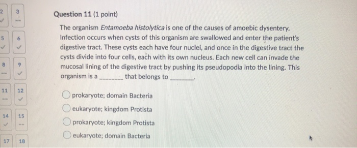 Solved Question 11 (1 Point) The Organism Entamoeba 