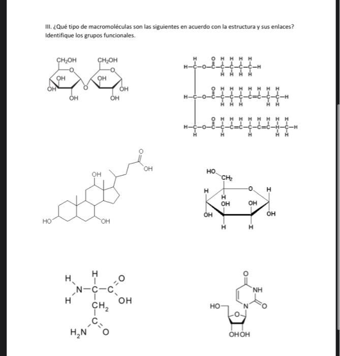 III. ¿Qué tipo de macromoléculas son las siguientes en acuerdo con la estructura y sus enlaces? Identifique los grupos funcio