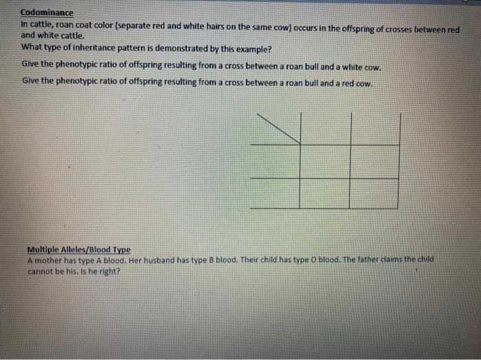 Solved Codominance In cattle, roan coat color (separate red
