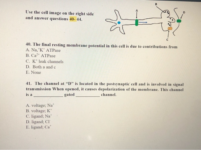 Solved please answer these 4 questions. i have been | Chegg.com
