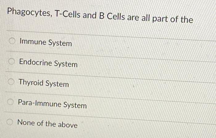 Solved Phagocytes, T-Cells and B Cells are all part of the | Chegg.com