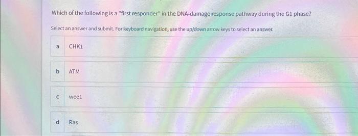 Solved Which Of The Following Is A first Responder In The Chegg