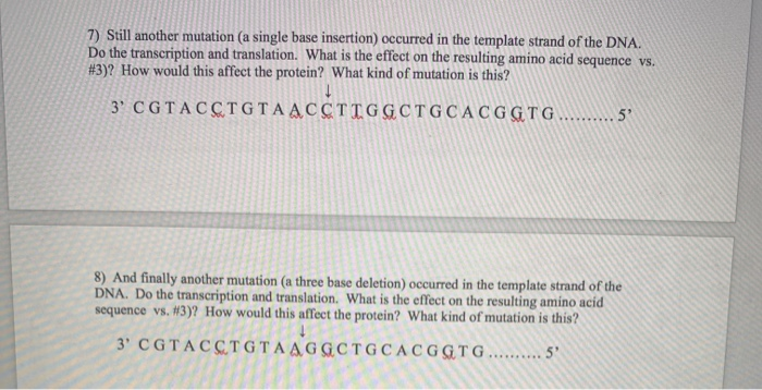 Solved The Effect of Mutation The following is the base | Chegg.com