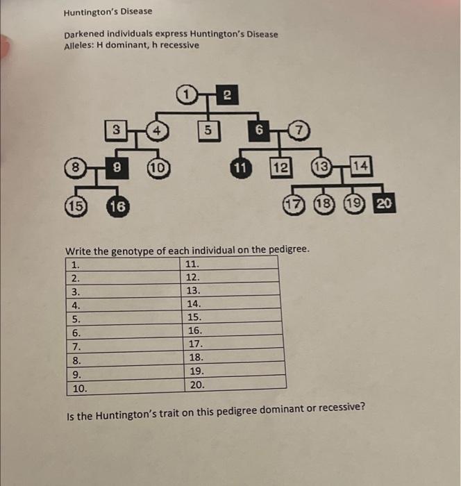 Solved Huntington's Disease Darkened individuals express | Chegg.com