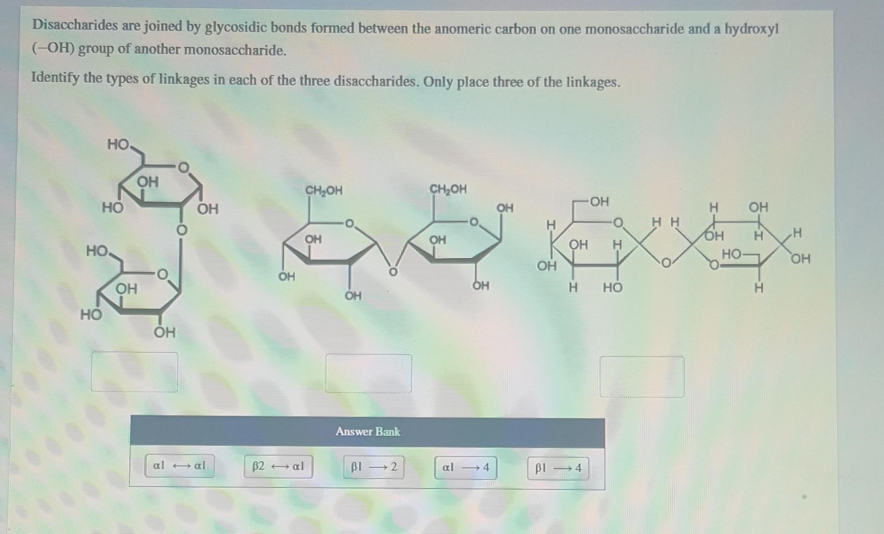 Solved Disaccharides are joined by glycosidic bonds formed