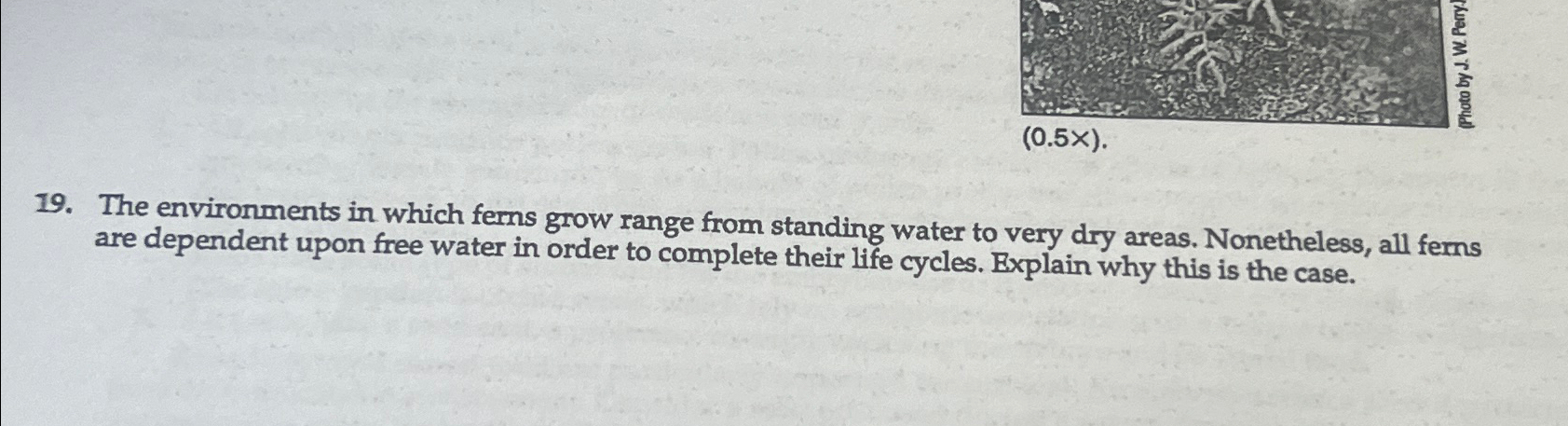 Solved (0.5×). ﻿The environments in which ferns grow range | Chegg.com
