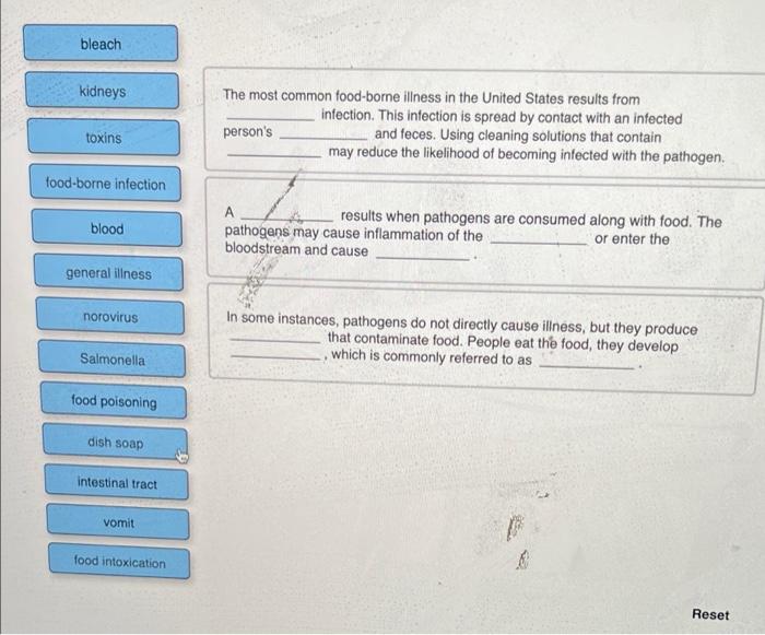 solved-bleach-kidneys-the-most-common-food-borne-illness-in-chegg