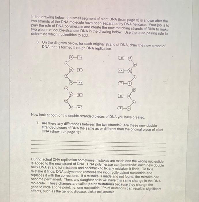 Solved As you can see in the figure below, DNA consists of | Chegg.com