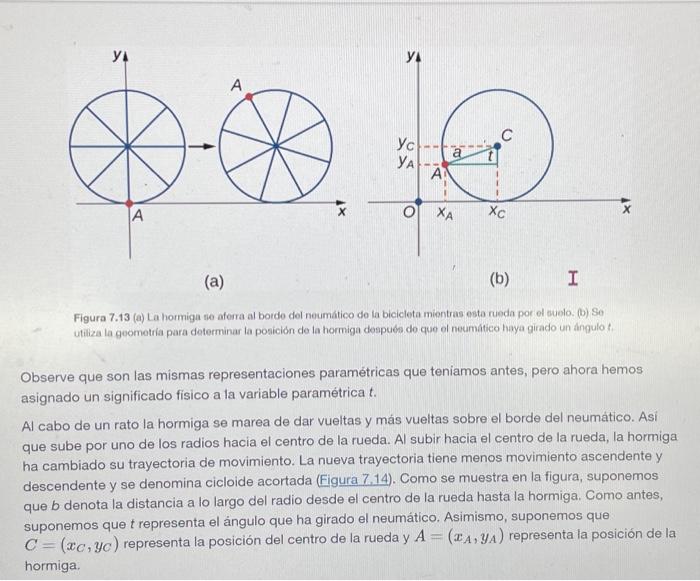 (a) (b) Figura 7.13 (a) La hormiga se aforra al bordo del neumático do ta bicicleta mientras esta rueda por el suelo. (0) So