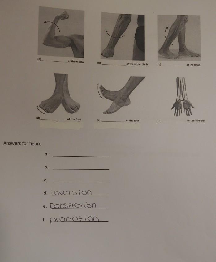 Complete The Descriptions Below The Diagrams