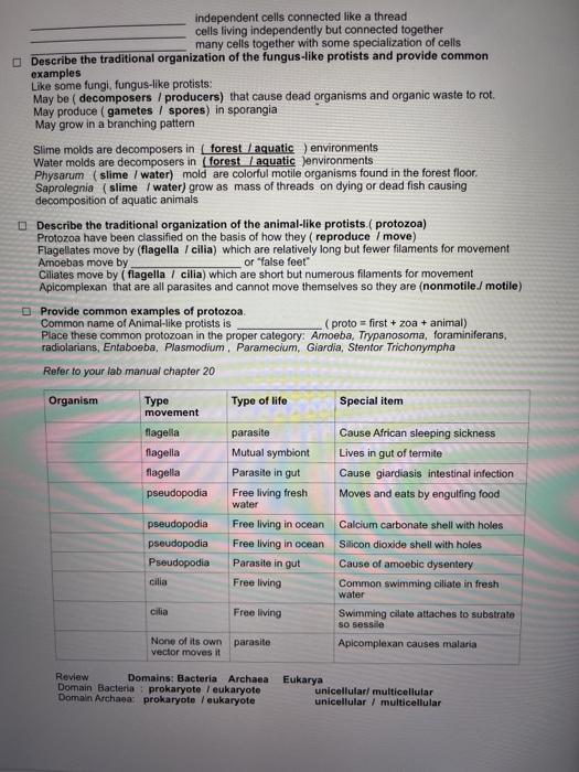 Solved Lab: 2 Protists Describe general characteristics of | Chegg.com