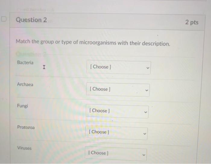 Match the group or type of microorganisms with their description.
Bacteria
Archaea
Fungi
Protozoa
Viruses