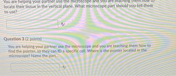 Solved You are helping your partner use the microscope and | Chegg.com