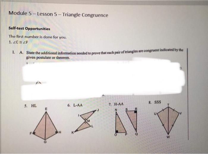 lesson 5 homework practice congruence