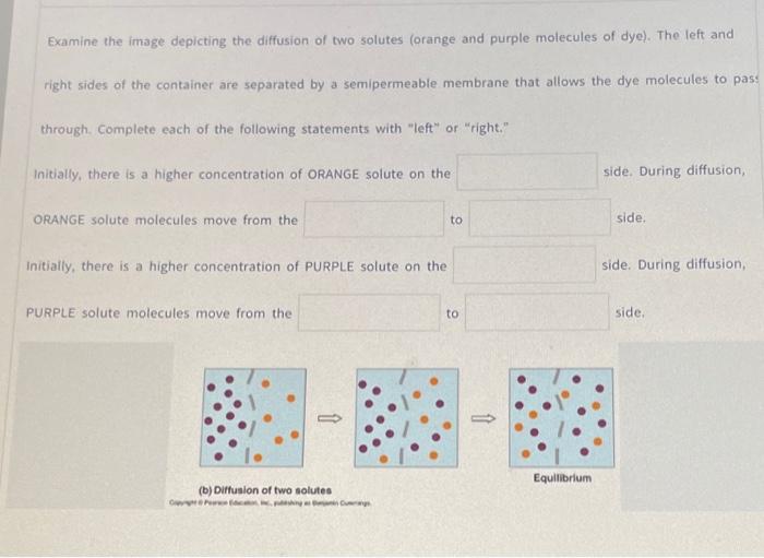 Solved Examine the image depicting the diffusion of two | Chegg.com