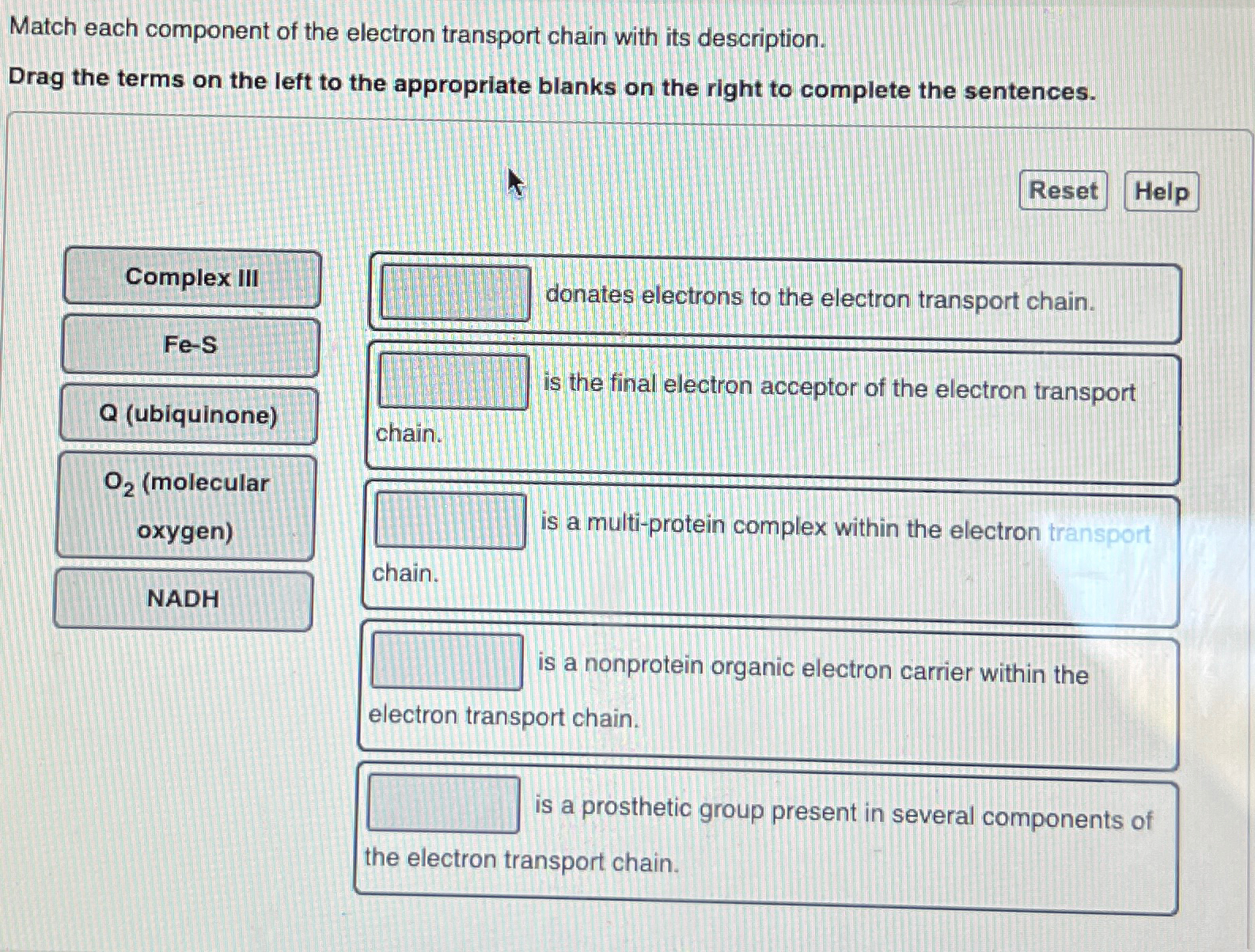 Solved Match each component of the electron transport chain | Chegg.com