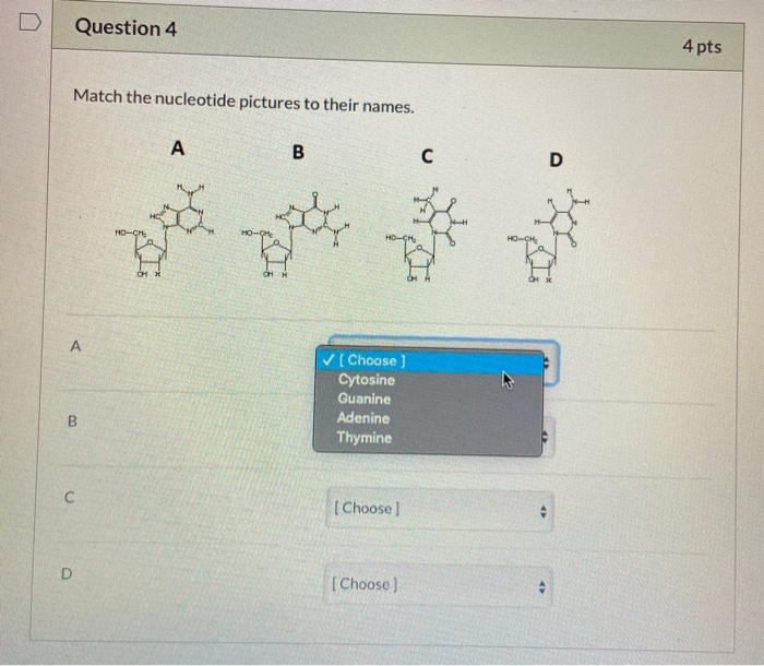 Solved Question 12 1 pts Which mutation has a change in the | Chegg.com