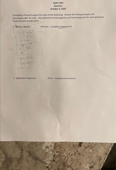 Solved Complete a Punnett square for each of the following. | Chegg.com