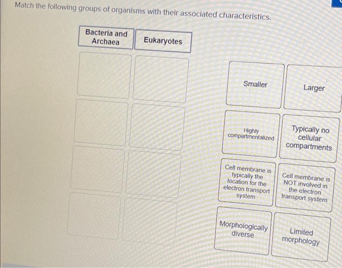 Solved Match the following groups of organisms with their | Chegg.com