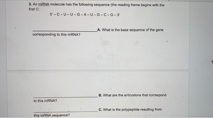 Solved 3. An MRNA Molecule Has The Following Sequence (the | Chegg.com