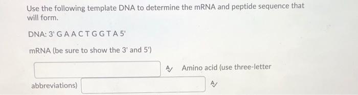 Solved Use the following template DNA to determine the mRNA | Chegg.com