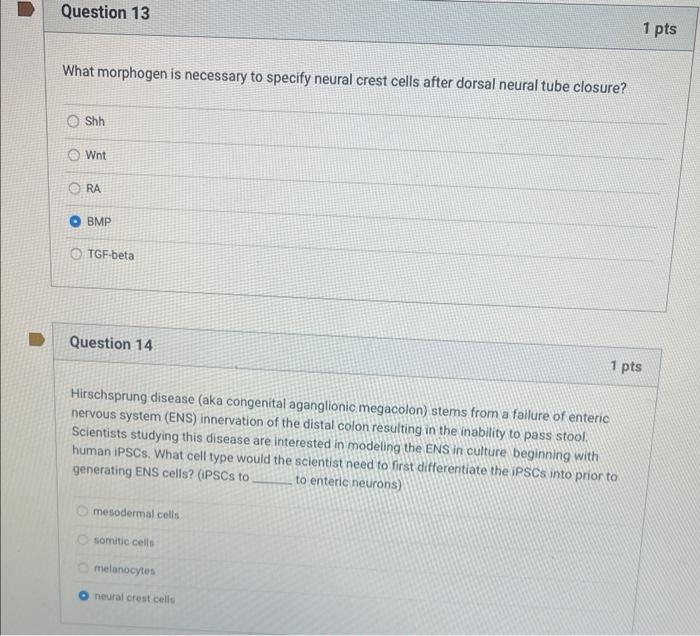 What morphogen is necessary to specify neural crest cells after dorsal neural tube closure?
Shh
Wnt
RA
BMP
TGF-beta
Question 