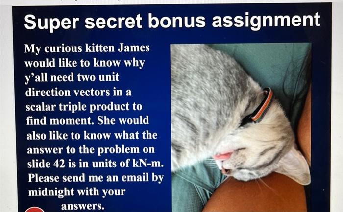 Solved Super secret bonus assignment My curious kitten James | Chegg.com