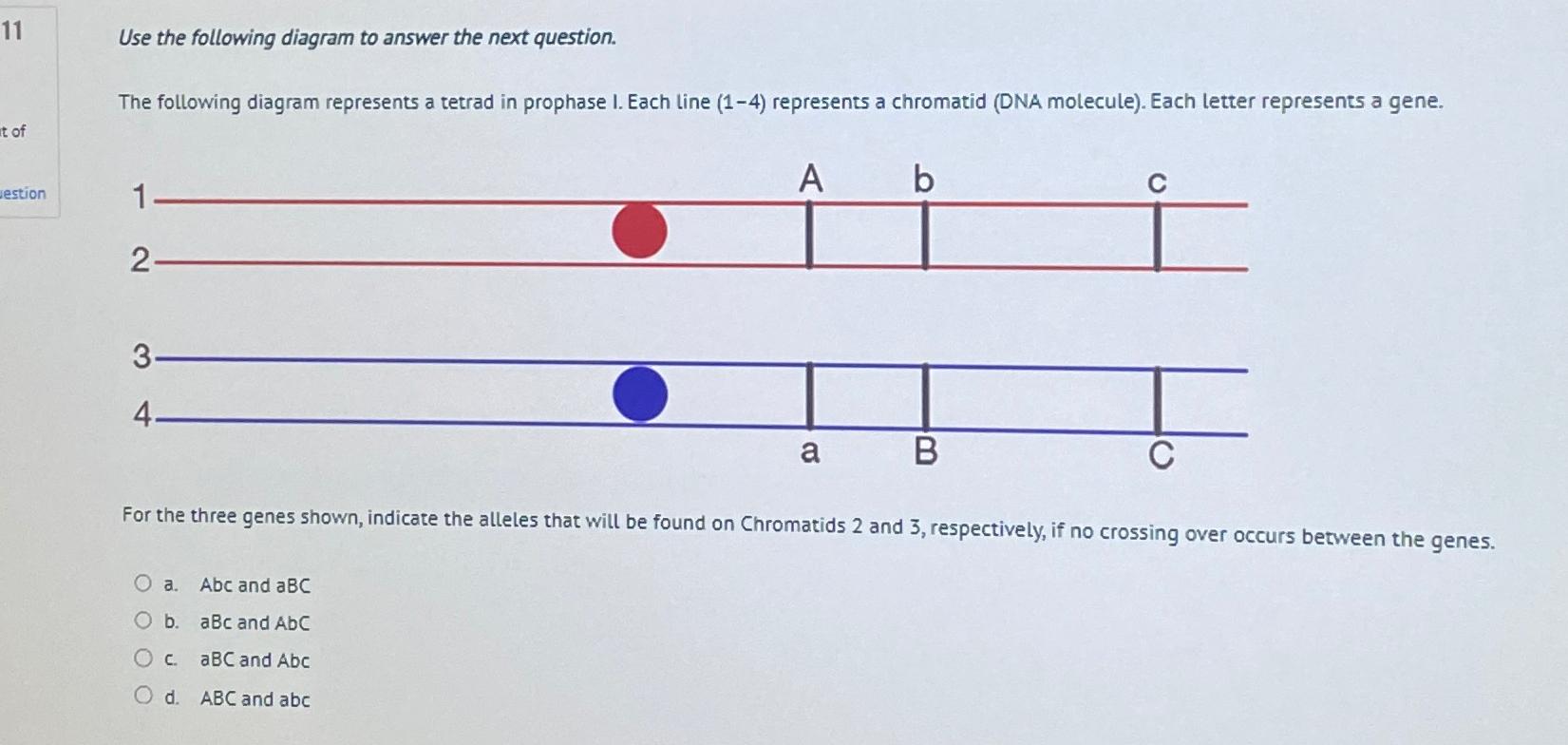 Solved 11 ﻿Use the following diagram to answer the next | Chegg.com