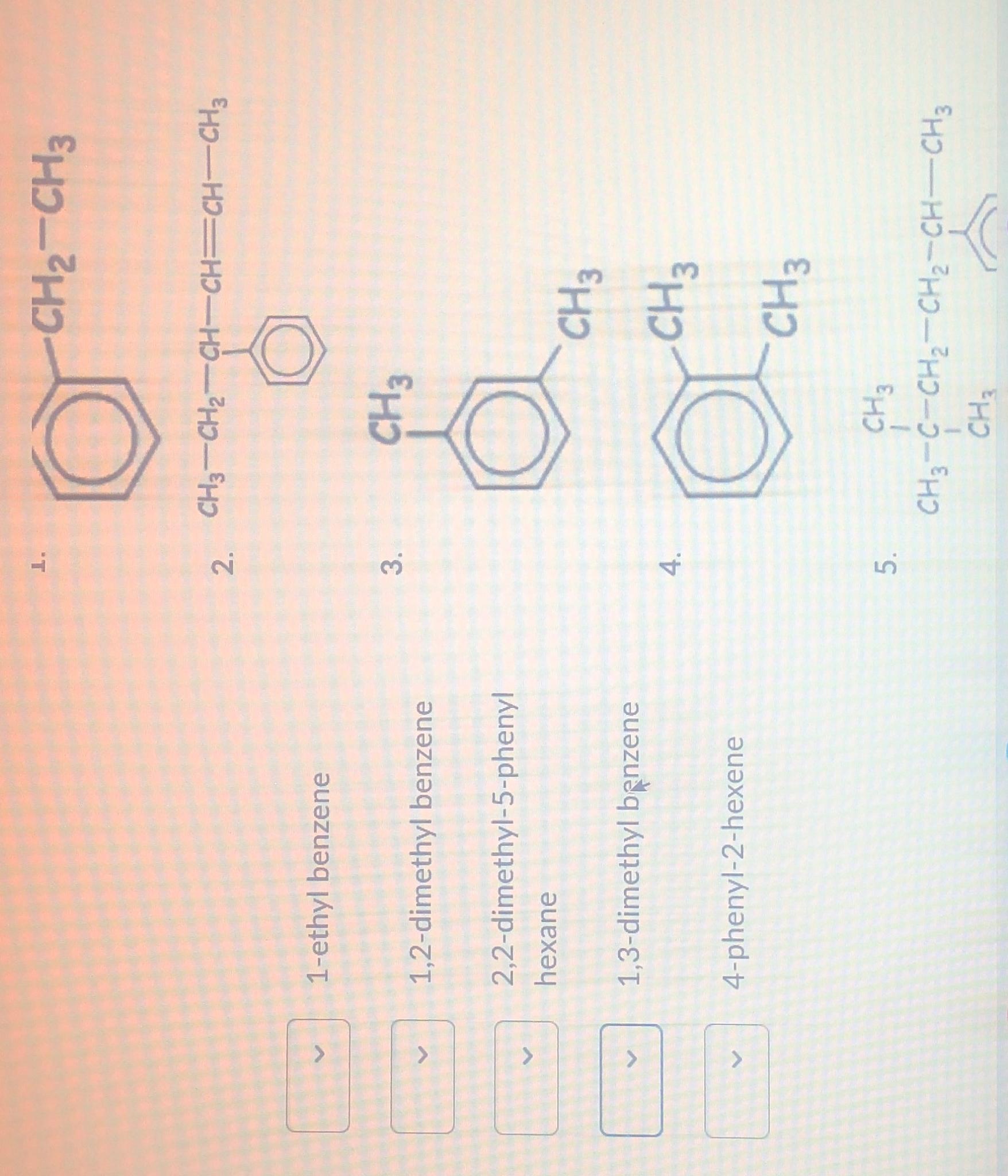 1 chloromethyl 3 2 2 dimethylpropyl benzene