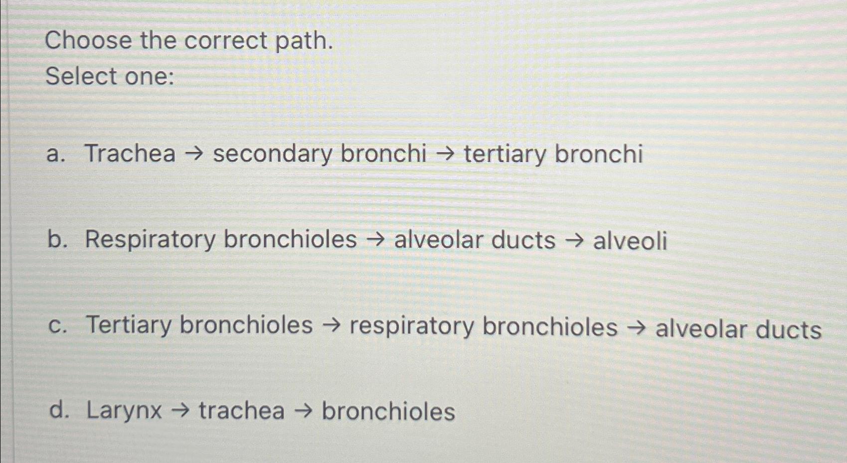 Solved Choose the correct path.Select one:a. ﻿Trachea → | Chegg.com