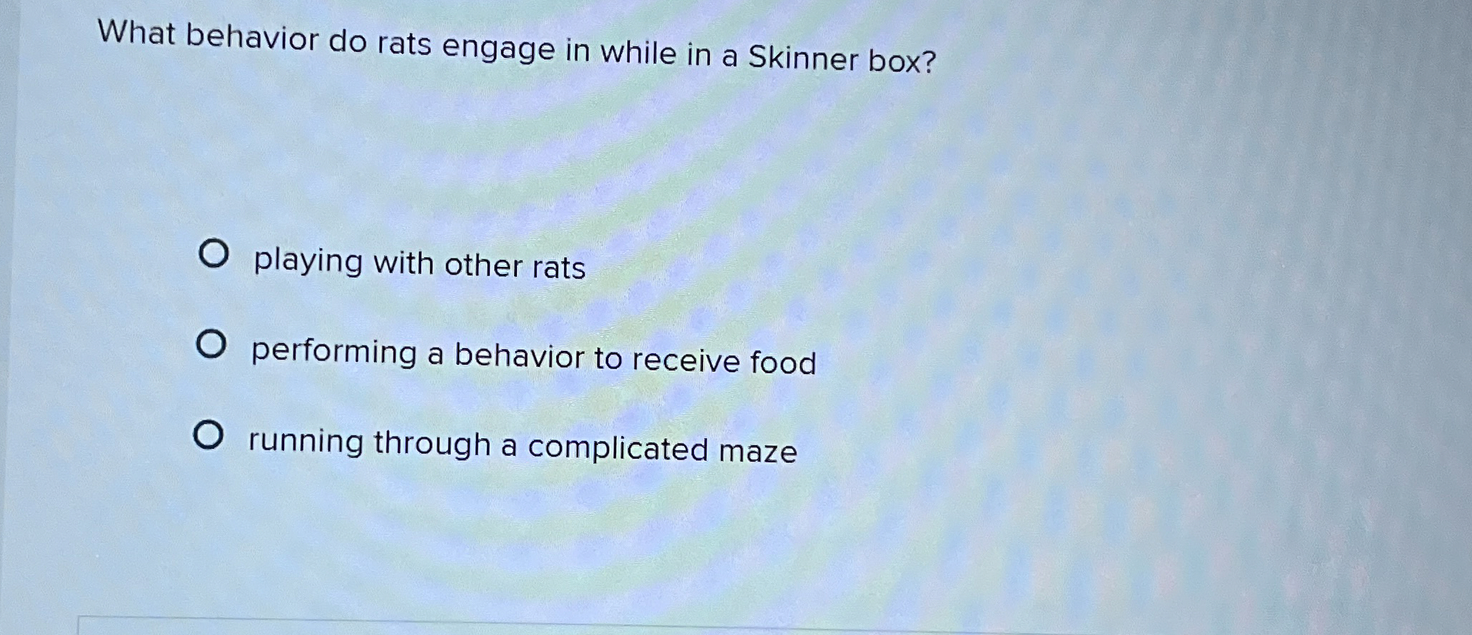 Solved What behavior do rats engage in while in a Skinner | Chegg.com