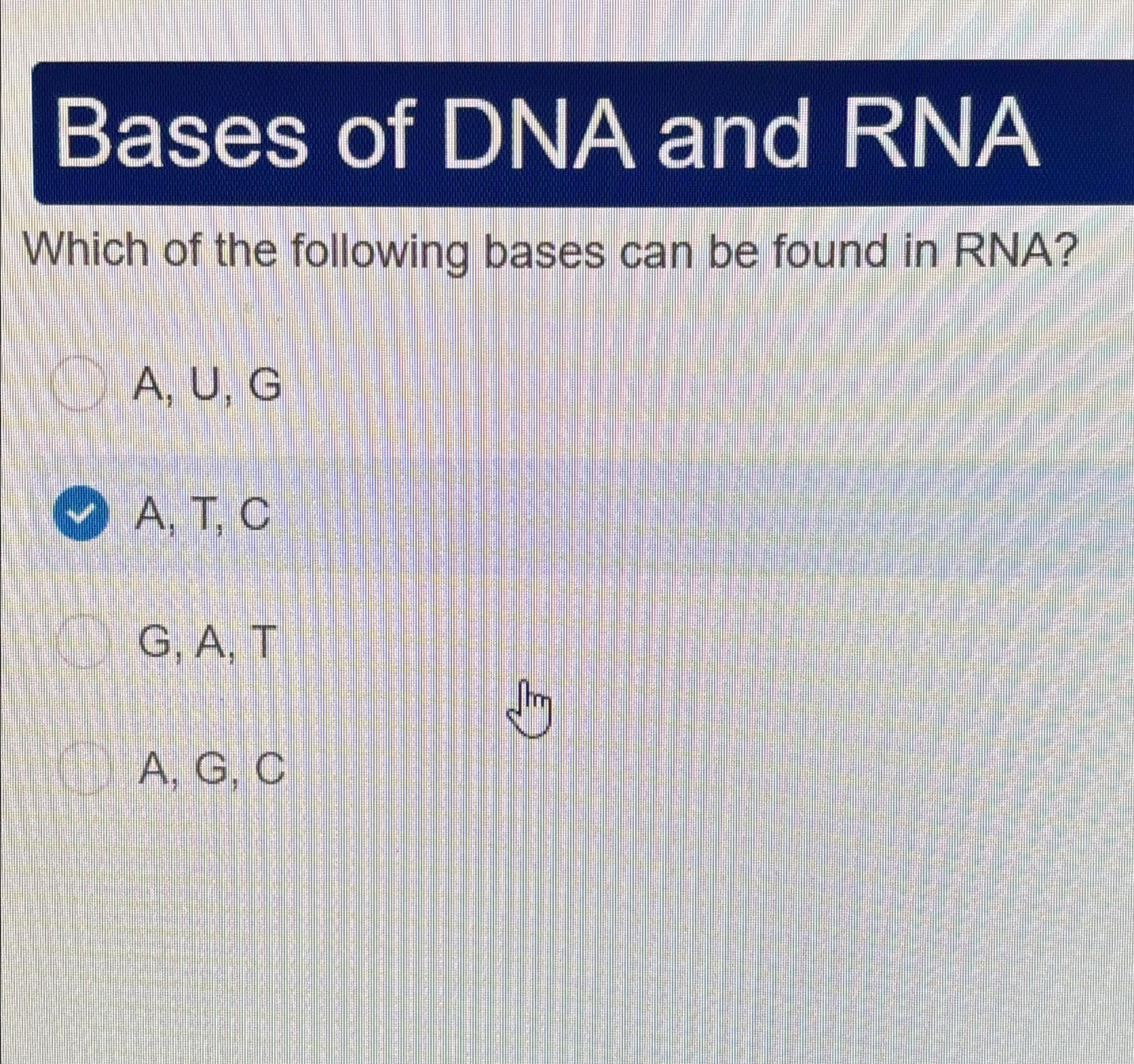 Solved Bases Of DNA And RNAWhich Of The Following Bases Can | Chegg.com