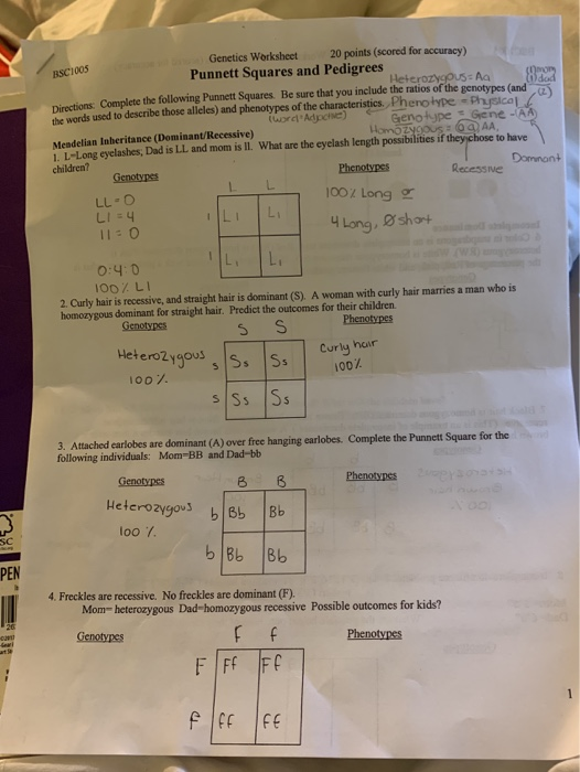 Curly Hair Is Dominant Or Recessive Captions Lovely Curly Hair Is Dominant Or Recessive Captions Lovely